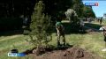 В Рязани прошла Всероссийская акция "Живая память поколений"