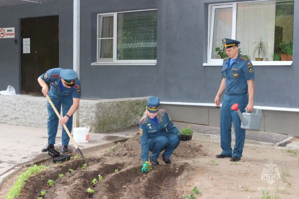 Члены Молодёжного совета Главного управления МЧС России по Рязанской области приняли участие в акции «Цветы России» Члены Молодёжного совета Главного управления МЧС России по Рязанской области приняли участие в акции «Цветы России»