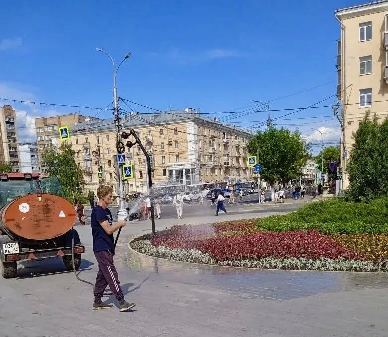 Продолжаем высаживать в городе цветы: клумб становится больше, ассортимент – шире Продолжаем высаживать в городе цветы: клумб становится больше, ассортимент – шире