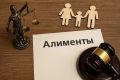 Алиментный долг привел жительницу районного центра на скамью подсудимых
