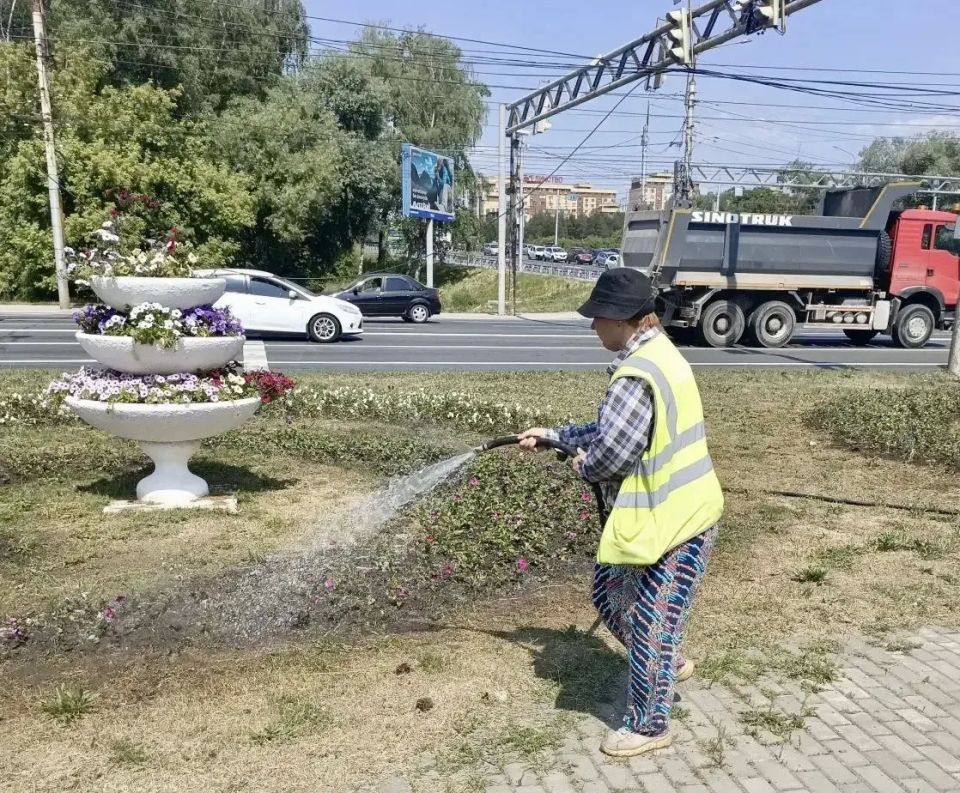 Продолжаем высаживать в городе цветы: клумб становится больше, ассортимент – шире Продолжаем высаживать в городе цветы: клумб становится больше, ассортимент – шире