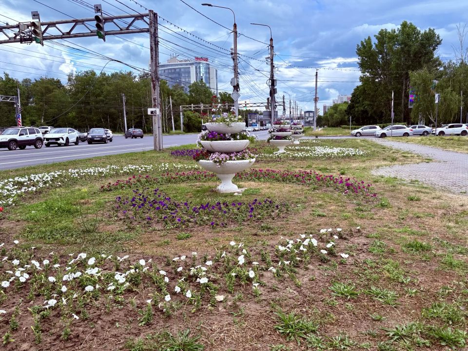 Продолжаем высаживать в городе цветы: клумб становится больше, ассортимент – шире Продолжаем высаживать в городе цветы: клумб становится больше, ассортимент – шире
