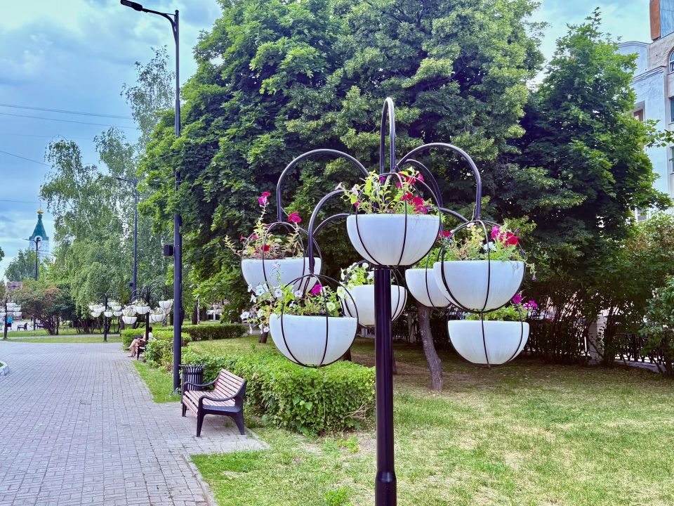 Продолжаем высаживать в городе цветы: клумб становится больше, ассортимент – шире Продолжаем высаживать в городе цветы: клумб становится больше, ассортимент – шире