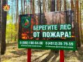 С 1 по 21 июля во всех лесничествах Рязанской области действует запрет на посещение лесов и въезд в них транспорта
