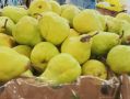 Светофор: лейтмотив июля — свежие продукты по ценам, которые радуют