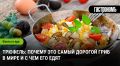 Трюфели: лакомство для гурманов и предмет страсти на аукционах