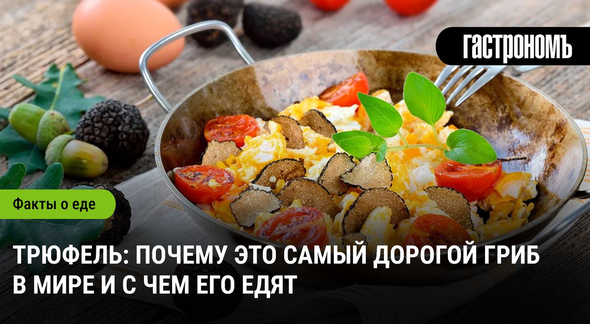 Трюфели: лакомство для гурманов и предмет страсти на аукционах