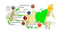 Рязанская область вошла в ягодную карту России