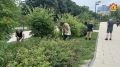 В период летних каникул для студентов и школьников организуют ярмарки вакансий