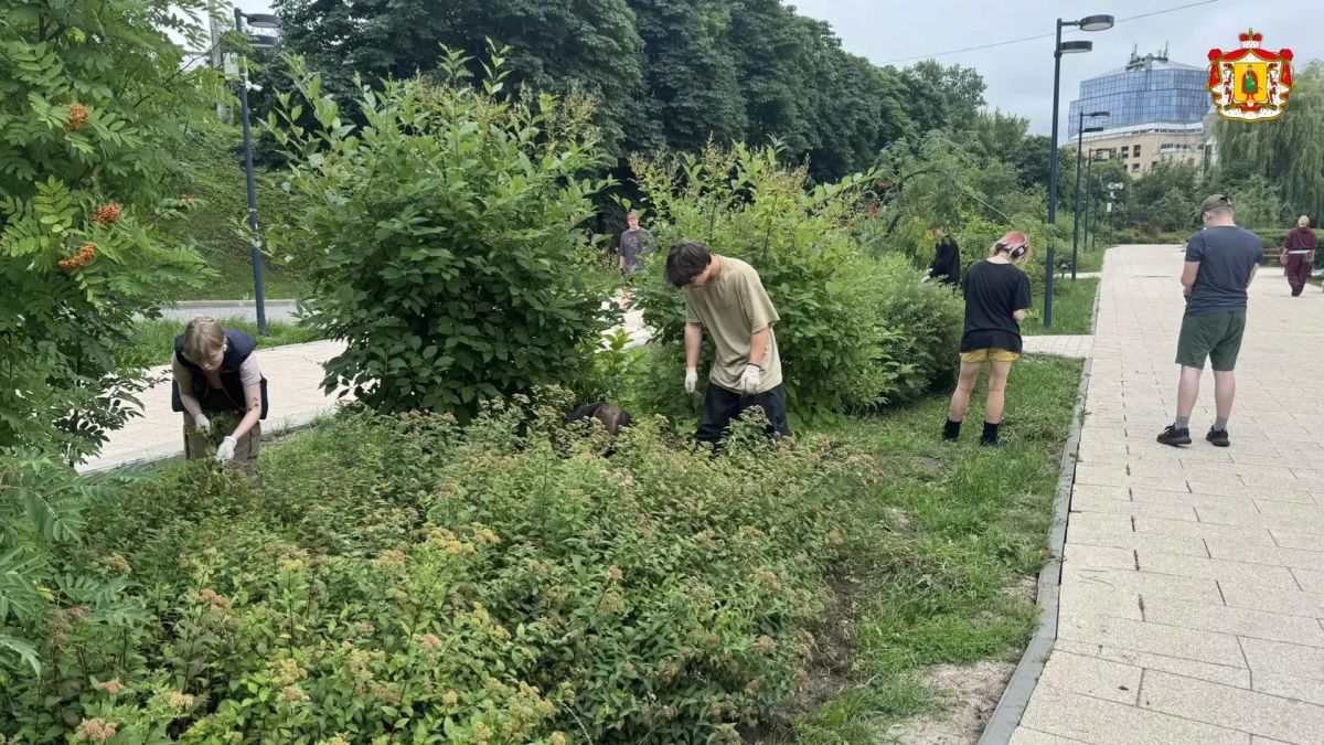 В период летних каникул для студентов и школьников организуют ярмарки вакансий