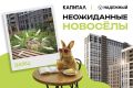 В «Капитале» рассказали про неожиданных новосёлов