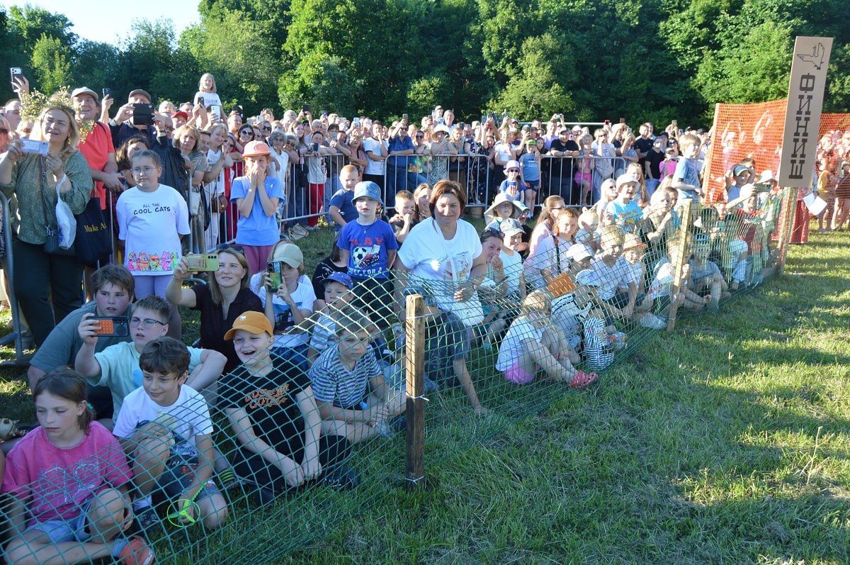 Фестиваль «Гусевские забавы» прошел в Касимовском округе Фестиваль «Гусевские забавы» прошел в Касимовском округе