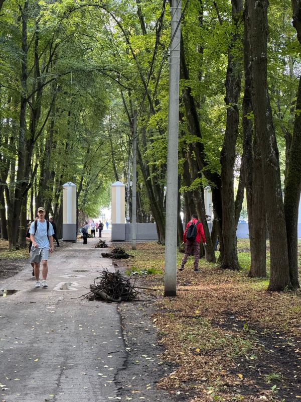 В Лесопарке провели субботник В Лесопарке провели субботник