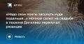 Ночной салют на свадьбе в поселке Дягилево перепугал рязанцев