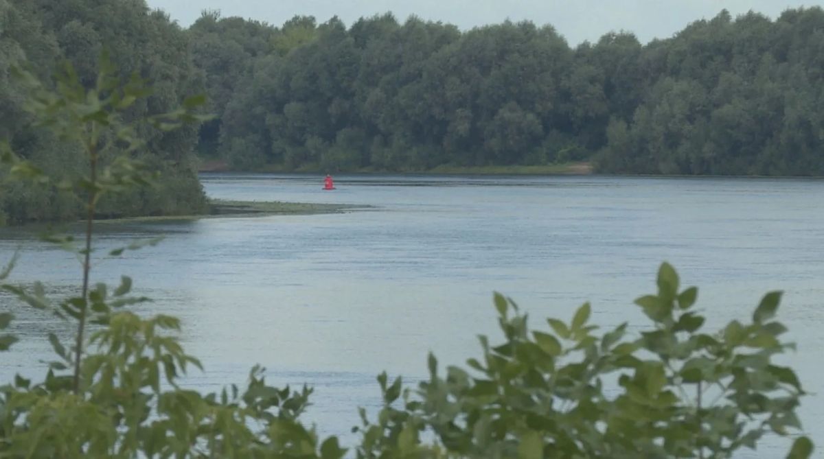 Кратковременные дожди и грозы ждут Рязанскую область на рабочей неделе