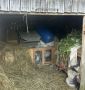 «За черно-белым кроликом». Полицейские пресекли незаконное хранение наркотиков в поселке Зеленый Милославского района