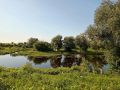 Жарко. Очень жарко. Прогноз погоды на пятницу от синоптиков Рязанского ЦГМС