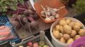 На ярмарках выходного дня рязанцы купили больше двух тонн овощей