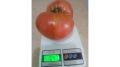 ������� ����� 1047 ������� ��������� ���������� ������������� ��������� ���������