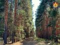 В Рязанской области активно проводится противопожарное патрулирование лесов