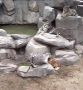 �������� � ���������� �������� ��������� ������, ������� �������� ���� ����