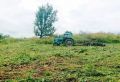 В Рязанской области полицейские организовали уничтожение 13 очагов дикорастущей конопли на общей площади около 3 га