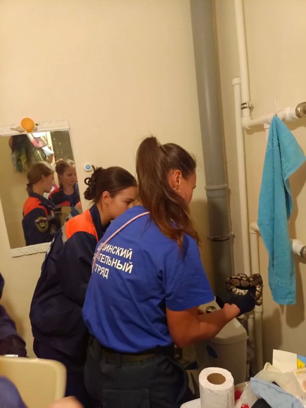 Рязанское спасатели извлекли попавшего в чужую квартиру королевского питона