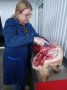 Уважаемые коллеги!. Примите теплые поздравления с профессиональным праздником – Днем ветеринарного работника! Глубокие знания и неустанный труд, забота о здоровье животных и людей - из этих составляющих складывается...