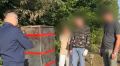 В Рязанской области подросток совершил теракт на железной дороге