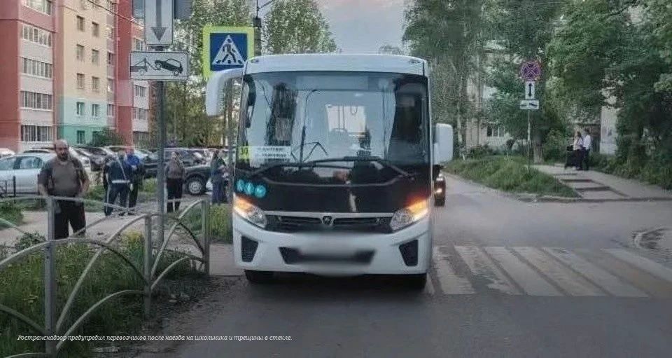 За сбитого ребенка на переходе рязанскому перевозчику объявили предостережение