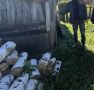 Сотрудники полиции пресекли деятельность жителя Путятинского округа по изготовлению и хранению марихуаны