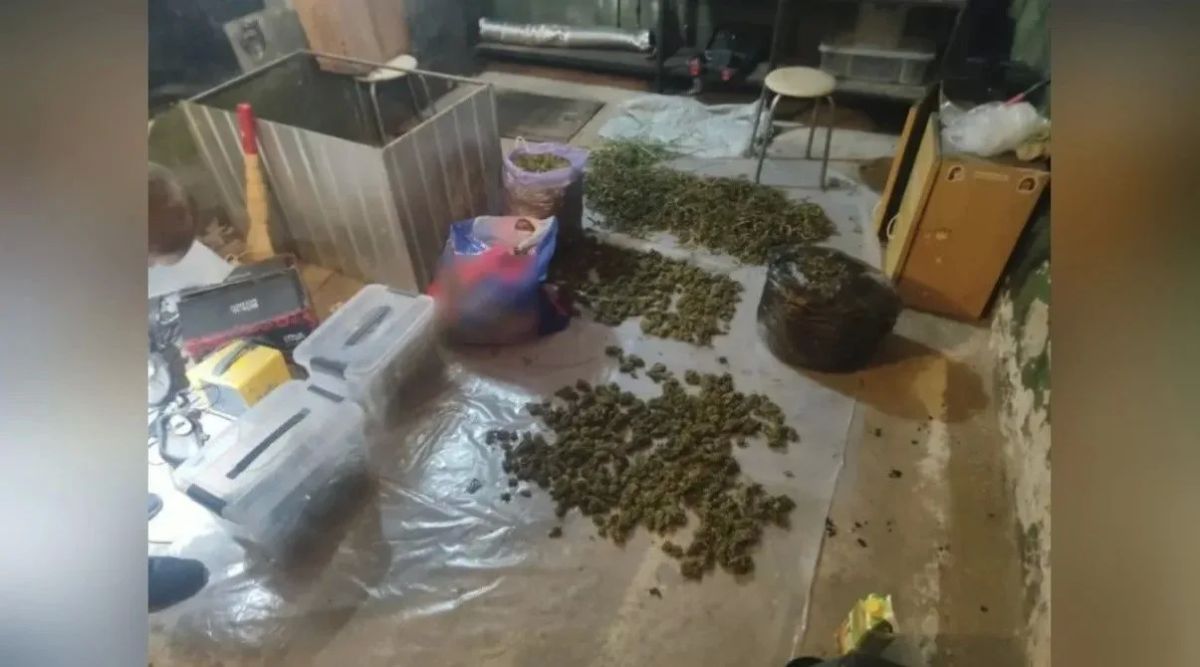 В Новомичуринске полицейские обнаружили в двух гаражах 6 кг марихуаны и галлюциногенные грибы В Новомичуринске полицейские обнаружили в двух гаражах 6 кг марихуаны и галлюциногенные грибы