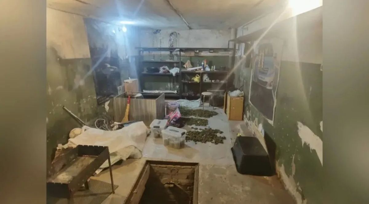 В Новомичуринске полицейские обнаружили в двух гаражах 6 кг марихуаны и галлюциногенные грибы В Новомичуринске полицейские обнаружили в двух гаражах 6 кг марихуаны и галлюциногенные грибы