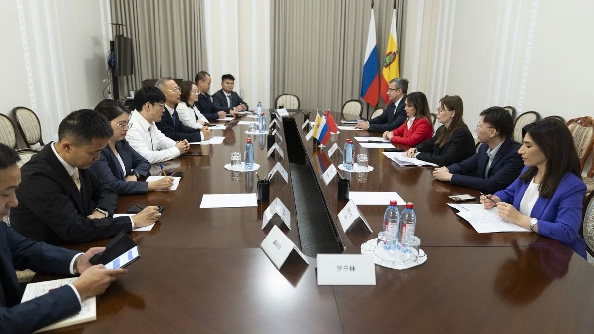 Заместитель председателя правительства Рязанской области Юлия Швакова встретилась с делегацией китайской провинции Гуйчжоу