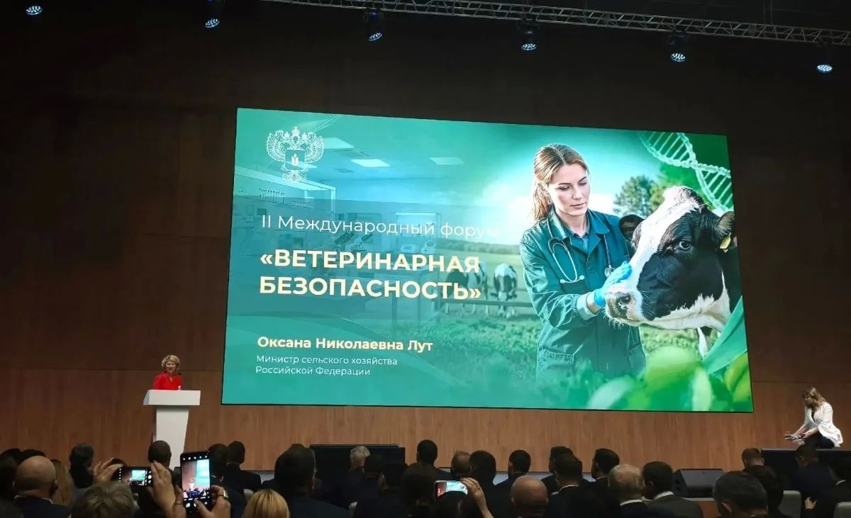 II Международный форум «Ветеринарная безопасность»: главное в двух словах II Международный форум «Ветеринарная безопасность»: главное в двух словах