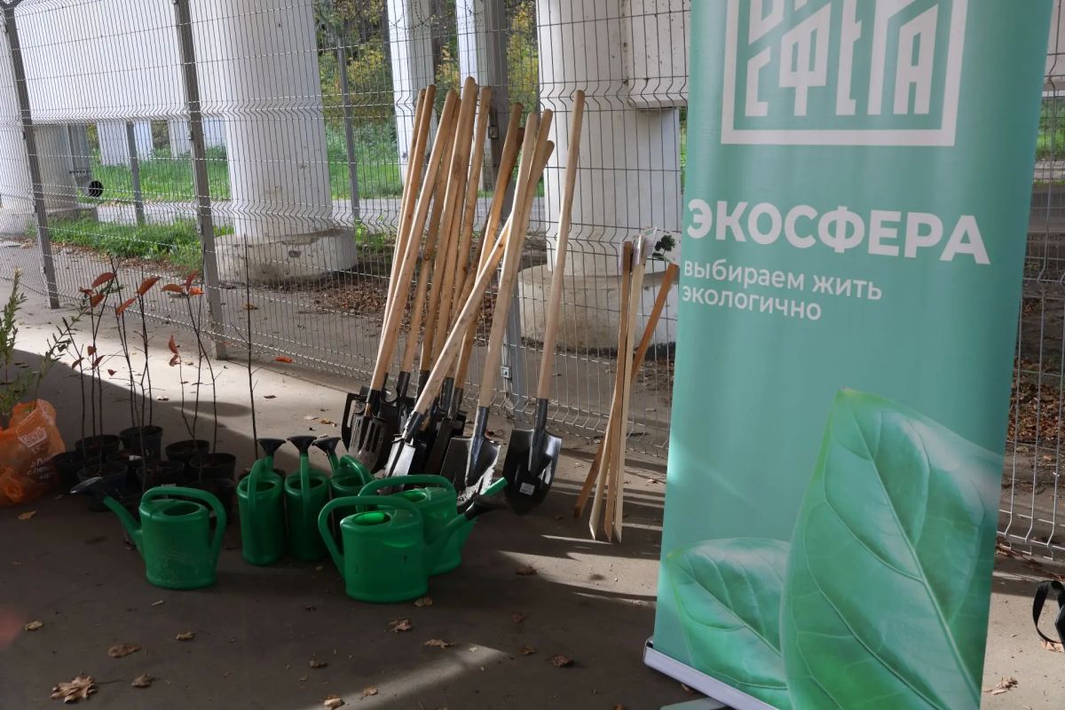В рамках месячника озеленения в Рязани высадили черёмуху