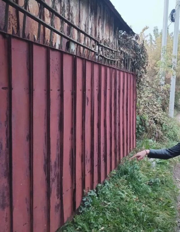 У задержанной жительницы Рязани полицейские изъяли 25 свертков с мефедроном и марихуаной У задержанной жительницы Рязани полицейские изъяли 25 свертков с мефедроном и марихуаной