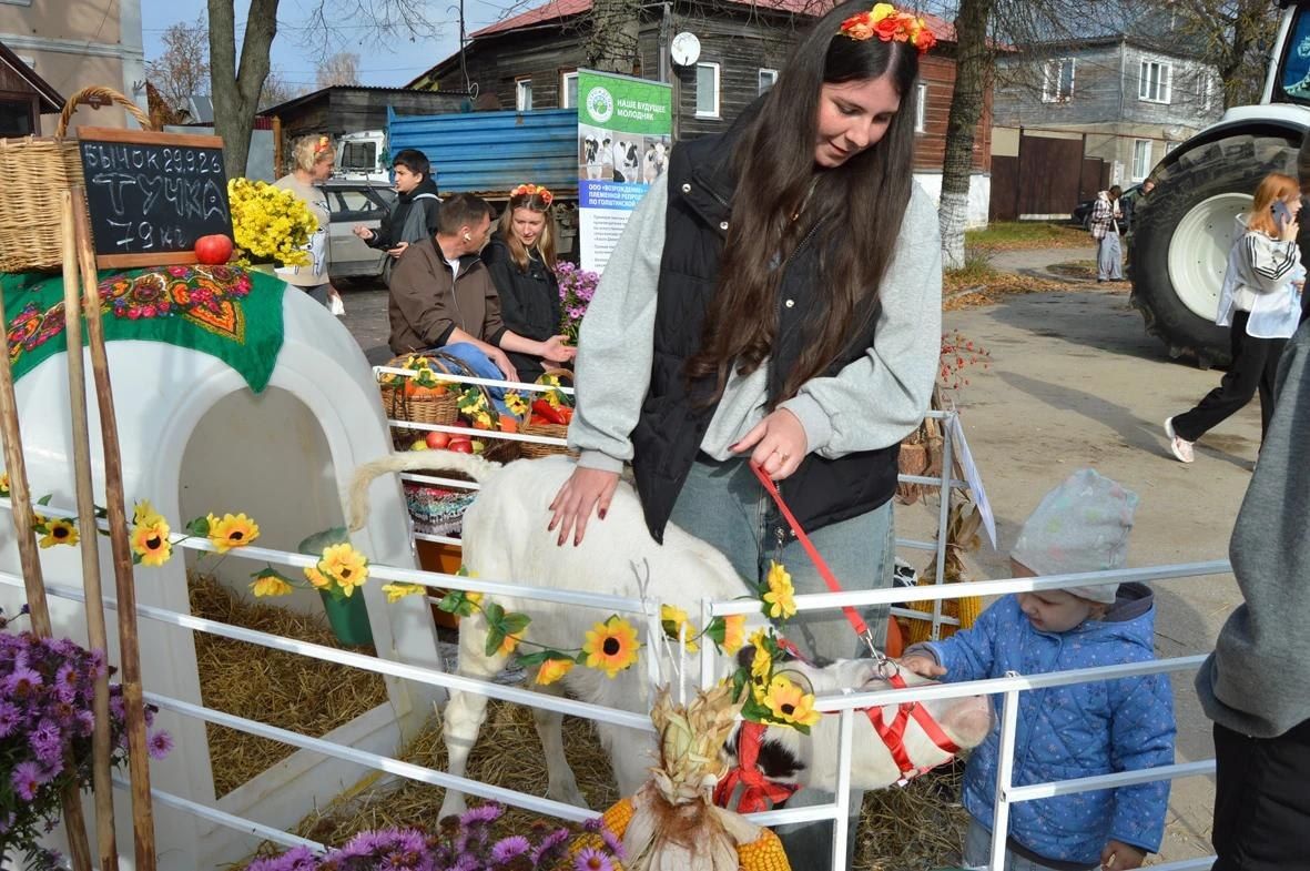 В Касимове на площади Ленина состоялся традиционный фестиваль урожая «Касимовский клубень» В Касимове на площади Ленина состоялся традиционный фестиваль урожая «Касимовский клубень»