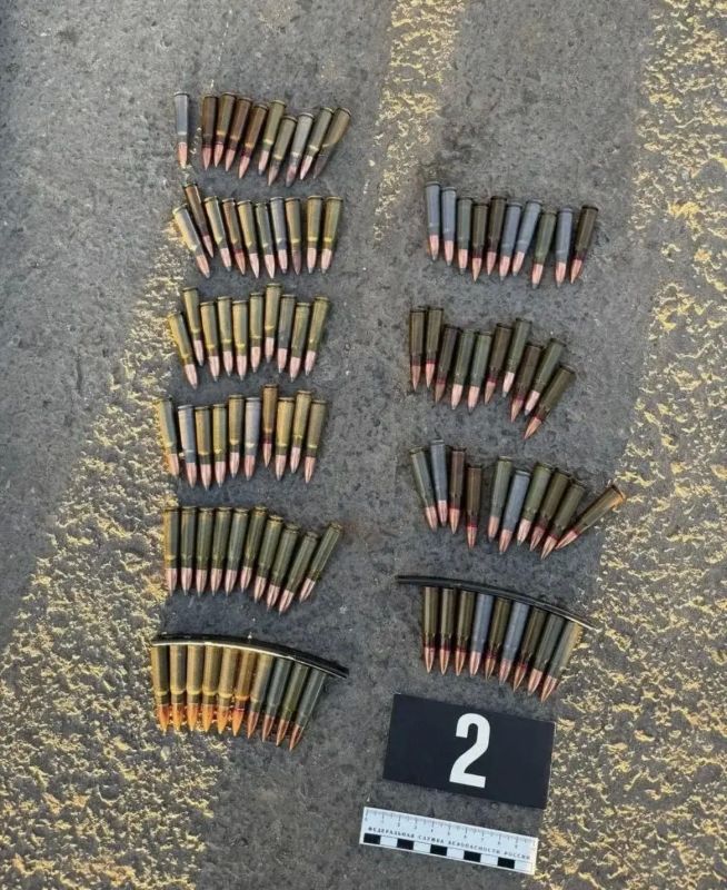 У жителя Рязанского муниципального округа изъяты карабин Симонова и патроны к нему У жителя Рязанского муниципального округа изъяты карабин Симонова и патроны к нему